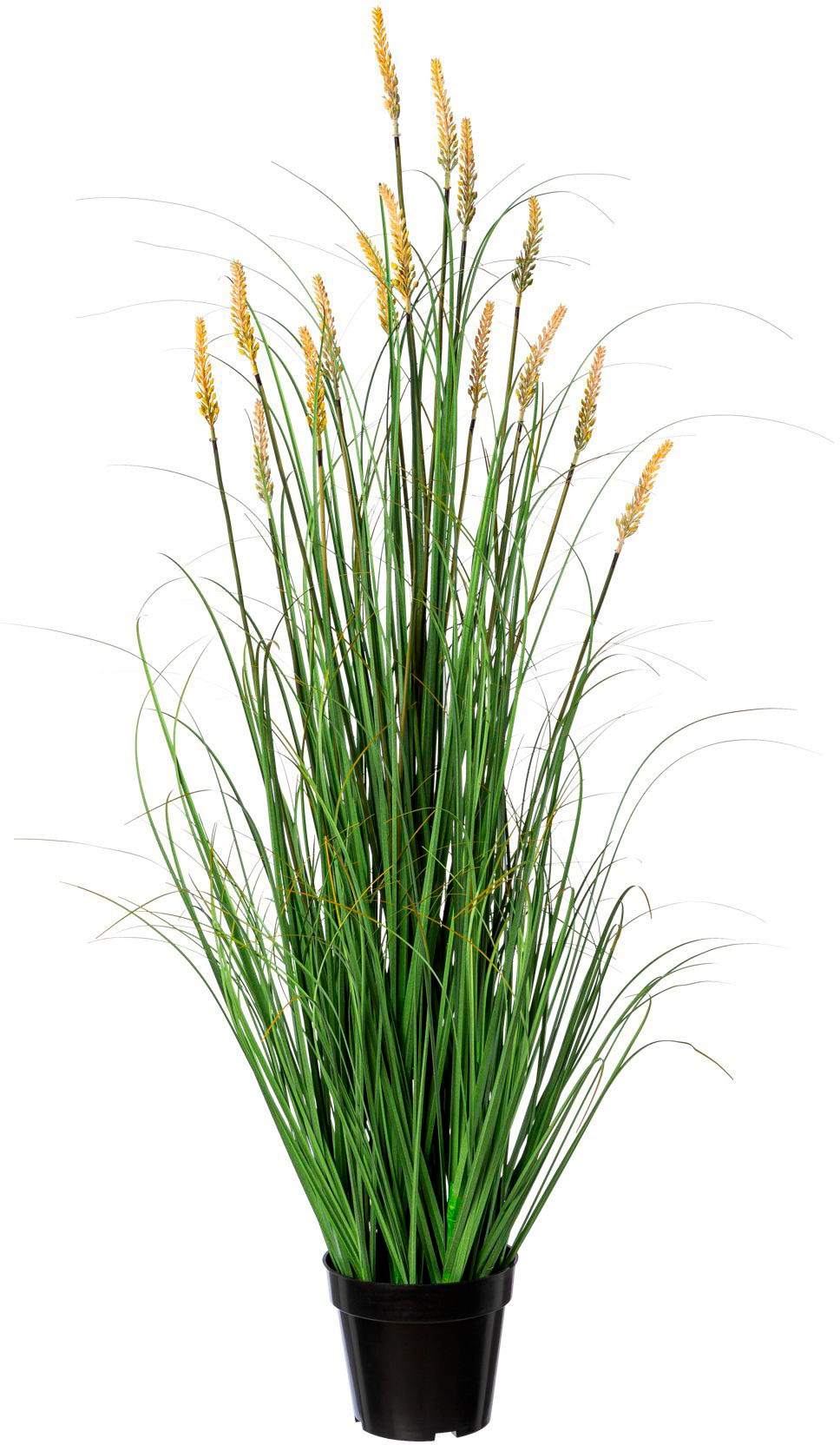 Creativ green Kunstgras »Grasbusch Pennisetum« Creativ green Kunstgras »Grasbusch Pennisetum« von Creativ green