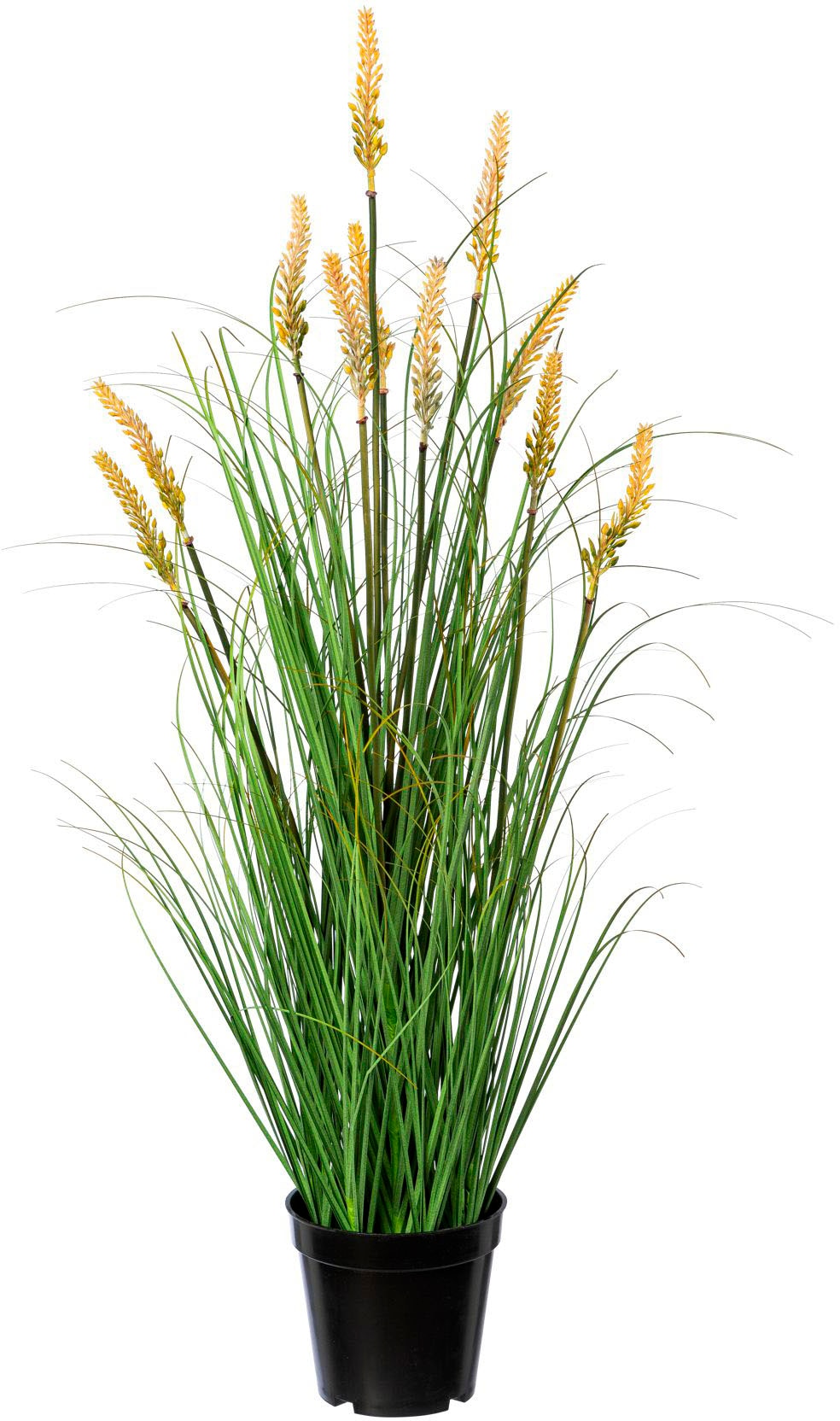Creativ green Kunstgras »Grasbusch Pennisetum« Creativ green Kunstgras »Grasbusch Pennisetum« von Creativ green