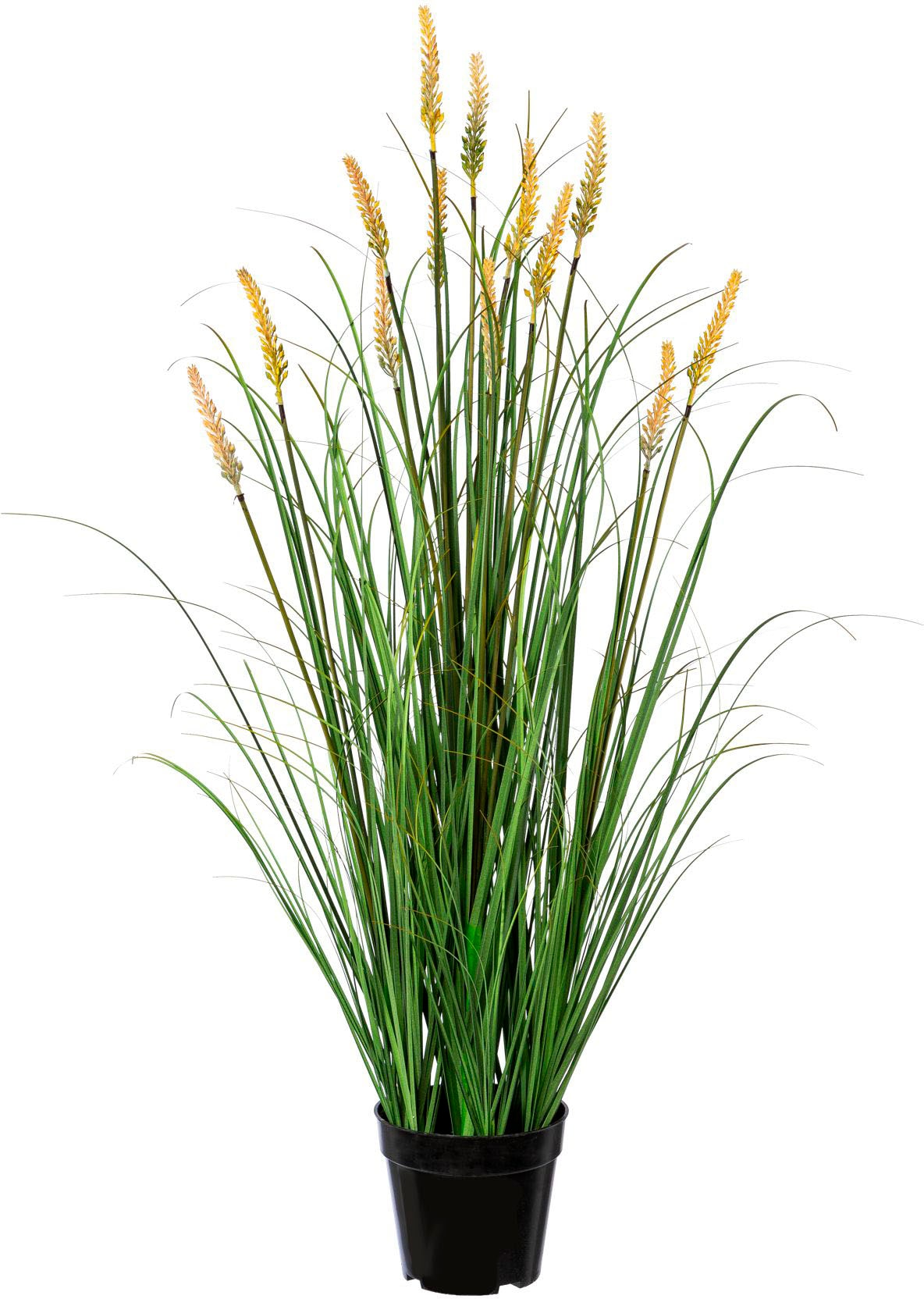 Creativ green Kunstgras »Grasbusch Pennisetum« Creativ green Kunstgras »Grasbusch Pennisetum« von Creativ green