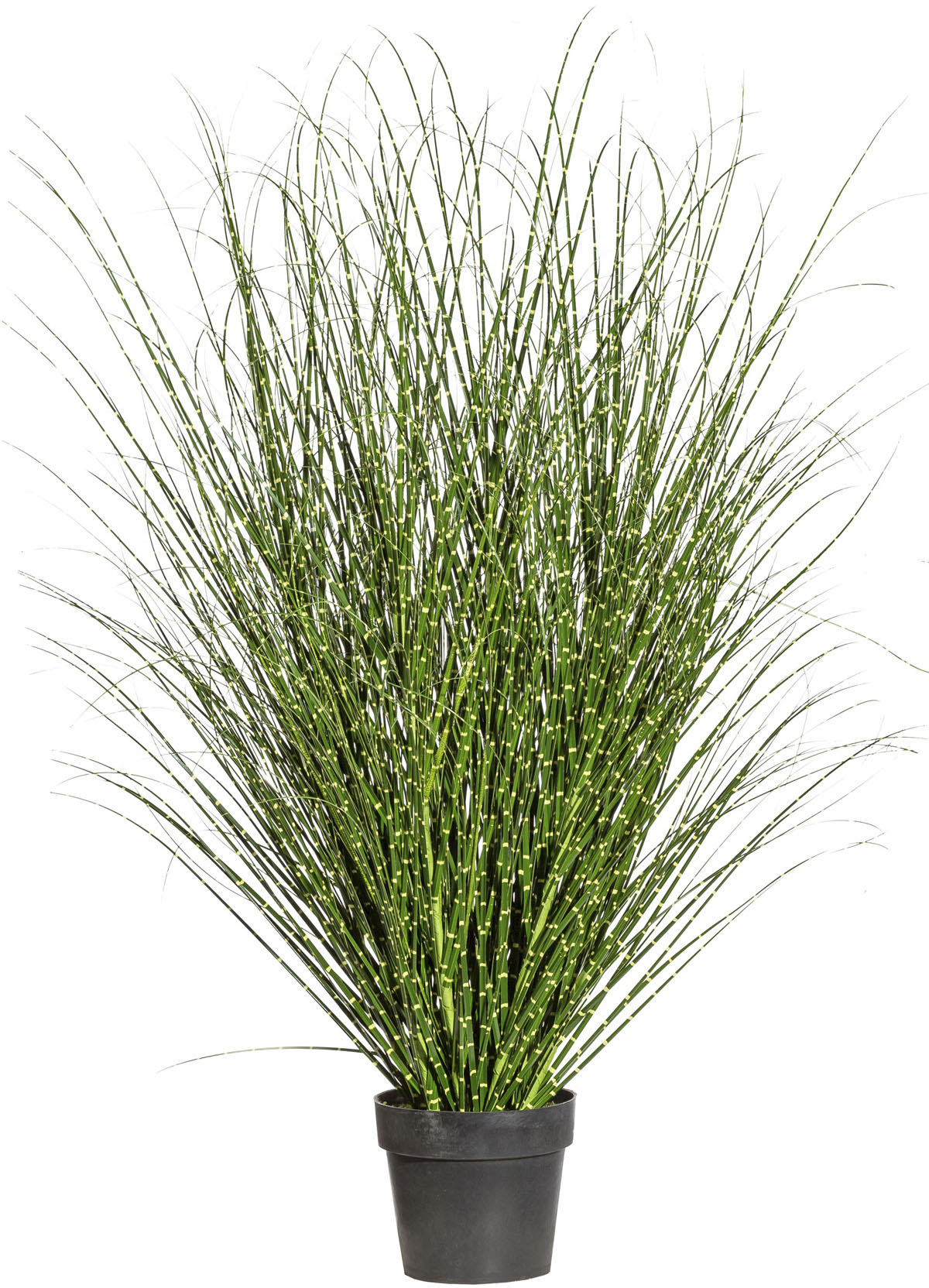 Creativ green Kunstgras »Miscanthus Zebrinus« Creativ green Kunstgras »Miscanthus Zebrinus« von Creativ green