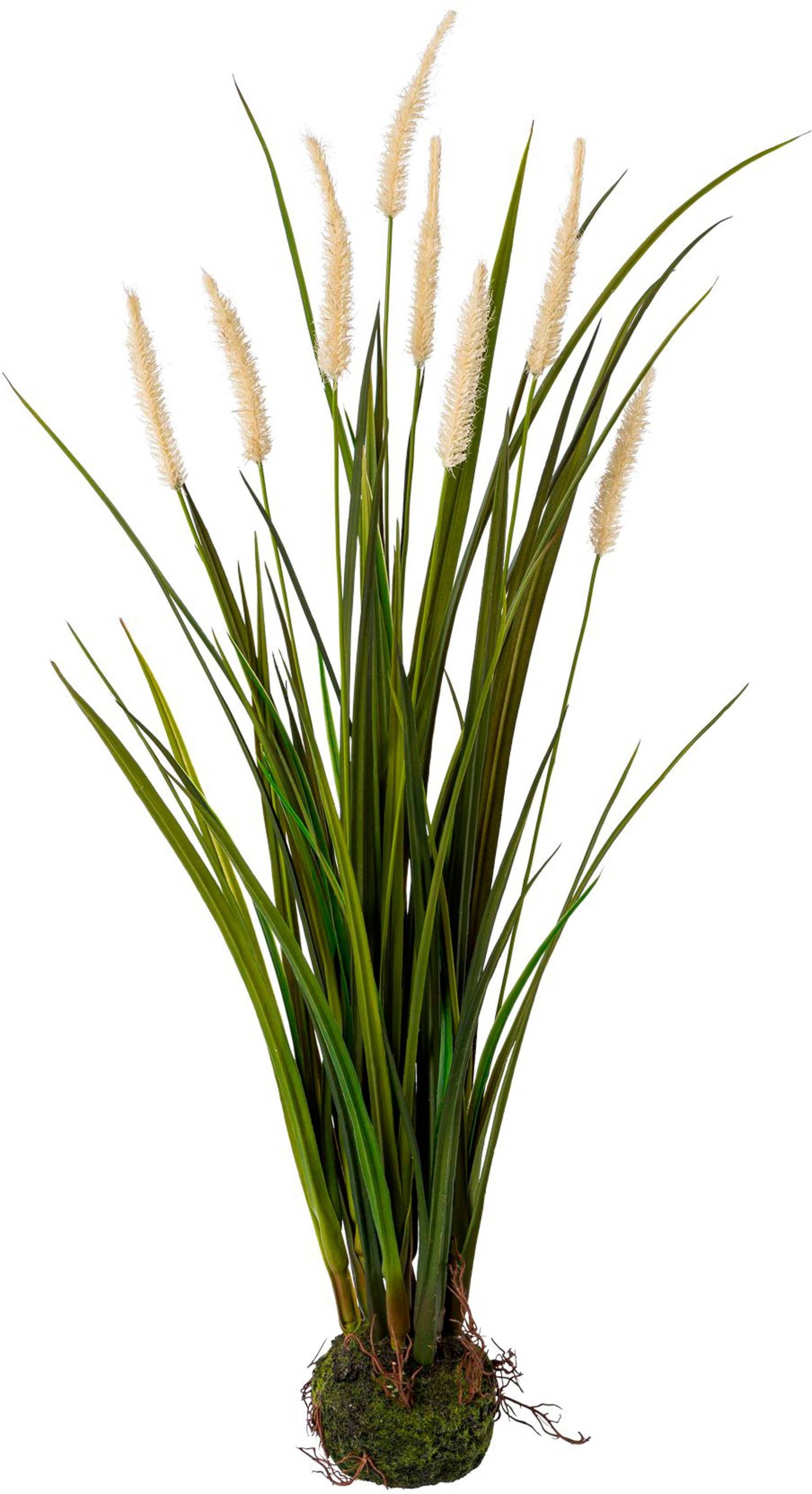 Creativ green Kunstgras »Miscanthus im Erdballen« Creativ green Kunstgras »Miscanthus im Erdballen« von Creativ green