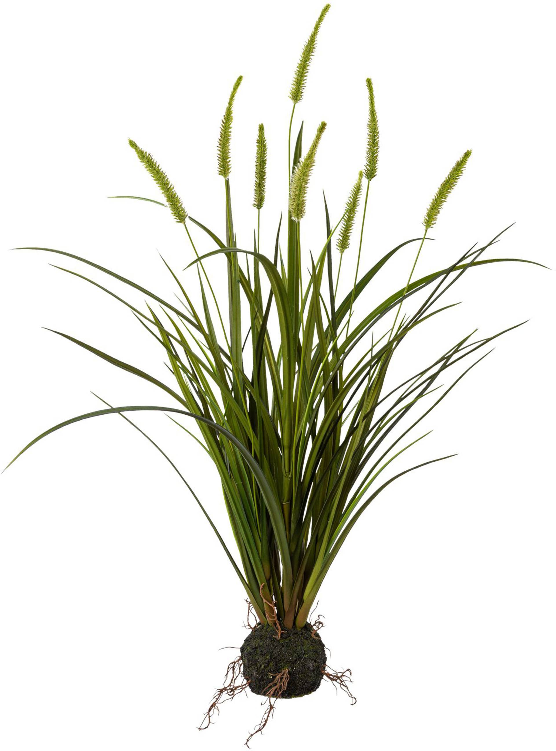Creativ green Kunstgras »Miscanthus im Erdballen« Creativ green Kunstgras »Miscanthus im Erdballen« von Creativ green