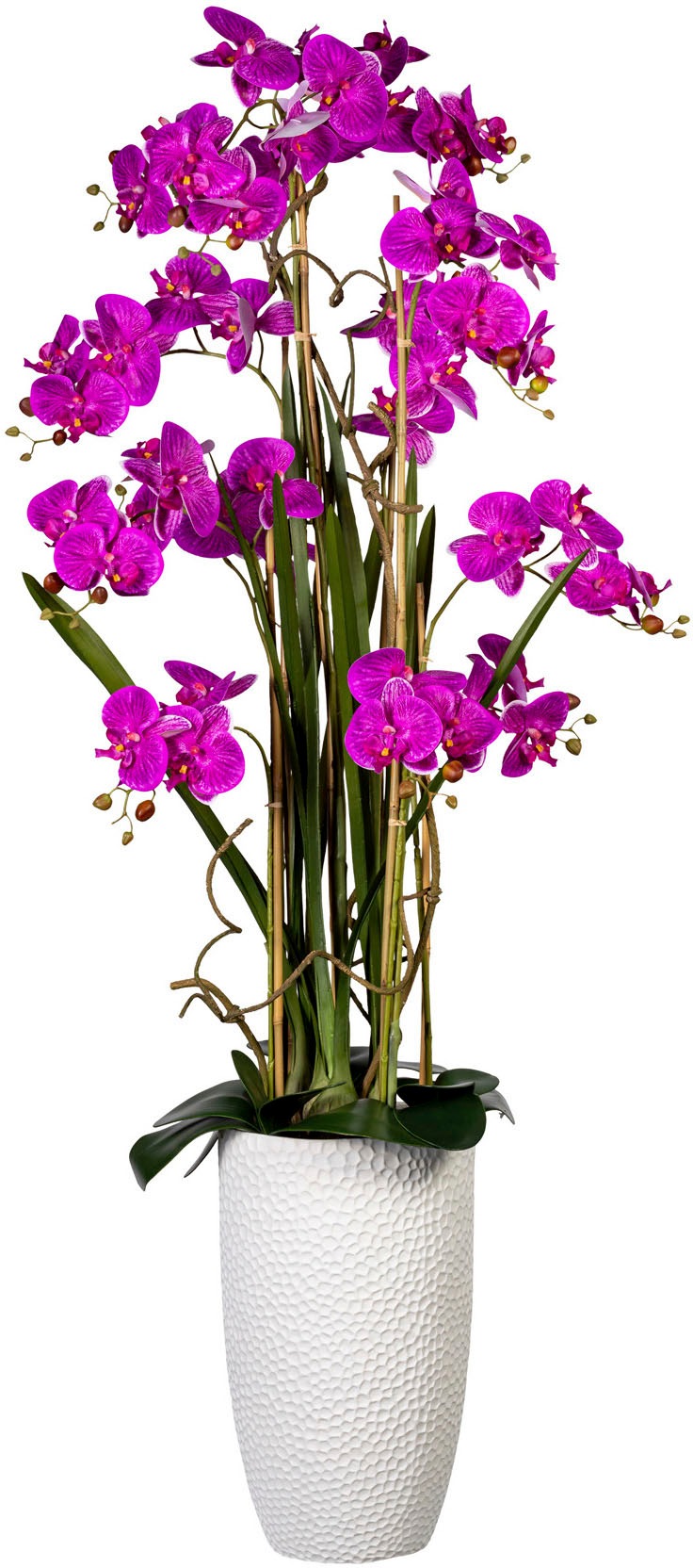 Creativ green Kunstorchidee »Deko-Orchidee Phalaenopsis XXL im Keramiktopf« Creativ green Kunstorchidee »Deko-Orchidee Phalaenopsis XXL im Keramiktopf« von Creativ green
