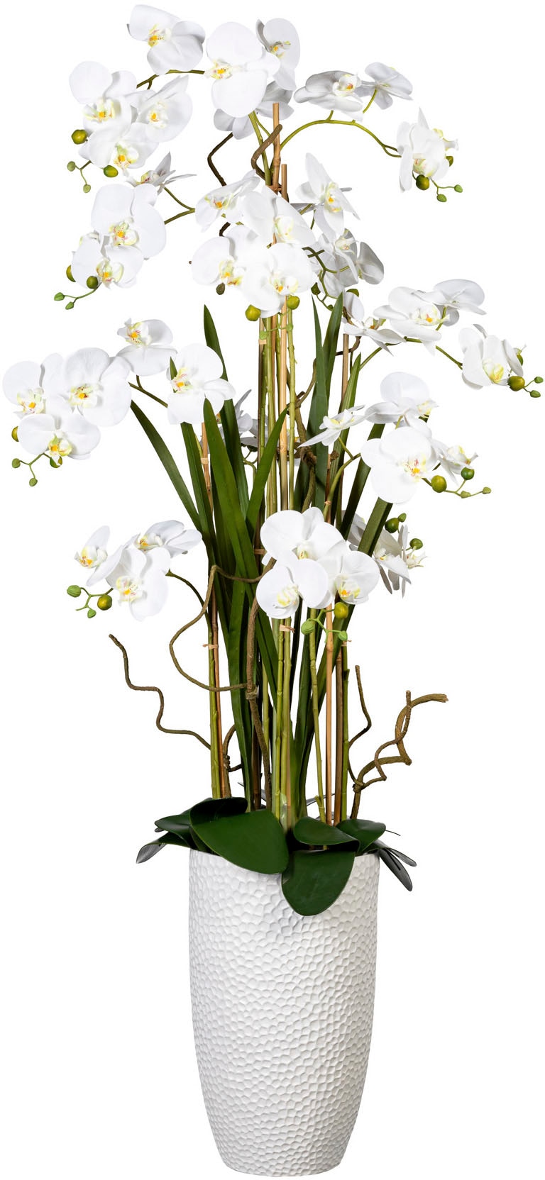 Creativ green Kunstorchidee »Deko-Orchidee Phalaenopsis XXL im Keramiktopf« von Creativ green