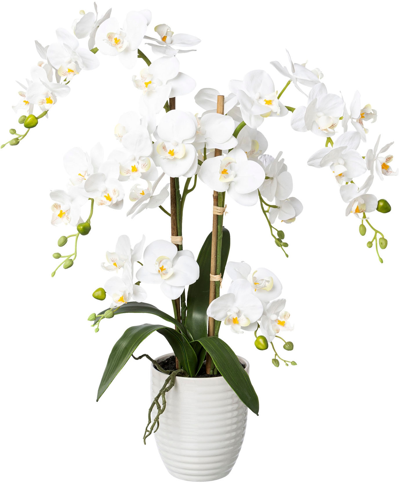 Creativ green Kunstorchidee »Deko-Orchidee Phalaenopsis im Keramiktopf« von Creativ green