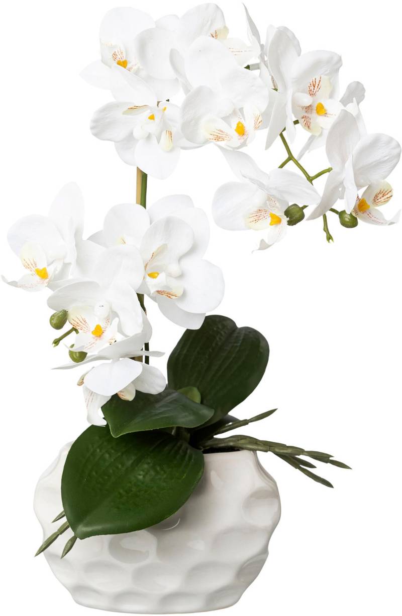 Creativ green Kunstorchidee »Deko-Orchidee Phalaenopsis im Keramiktopf« von Creativ green