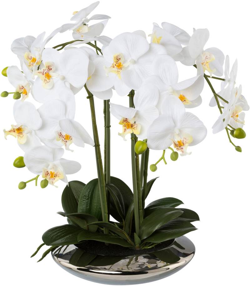 Creativ green Kunstorchidee »Deko-Orchidee Phalaenopsis in Keramikschale« von Creativ green