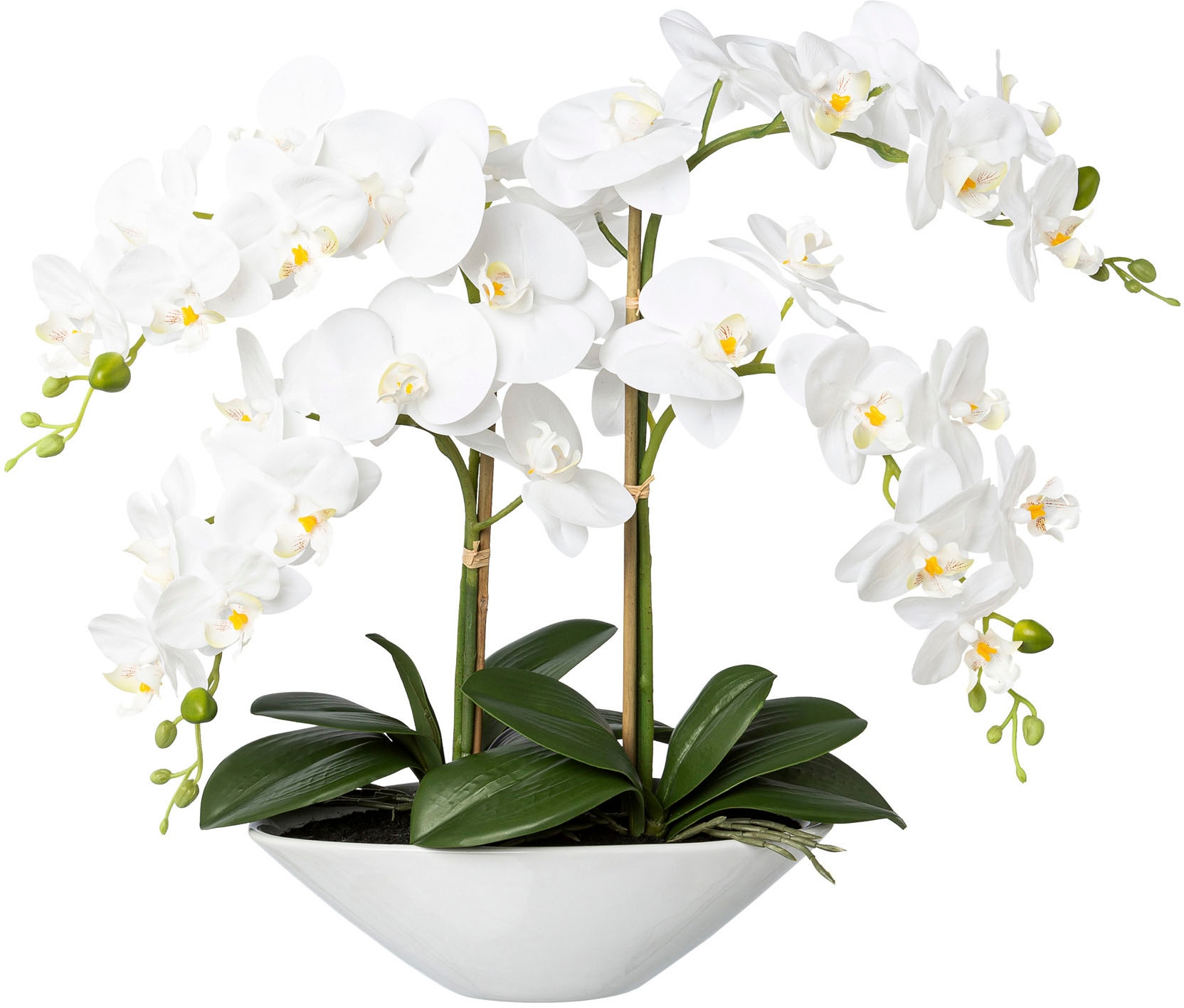 Creativ green Kunstorchidee »Deko-Orchidee Phalaenopsis in Keramikschale« von Creativ green