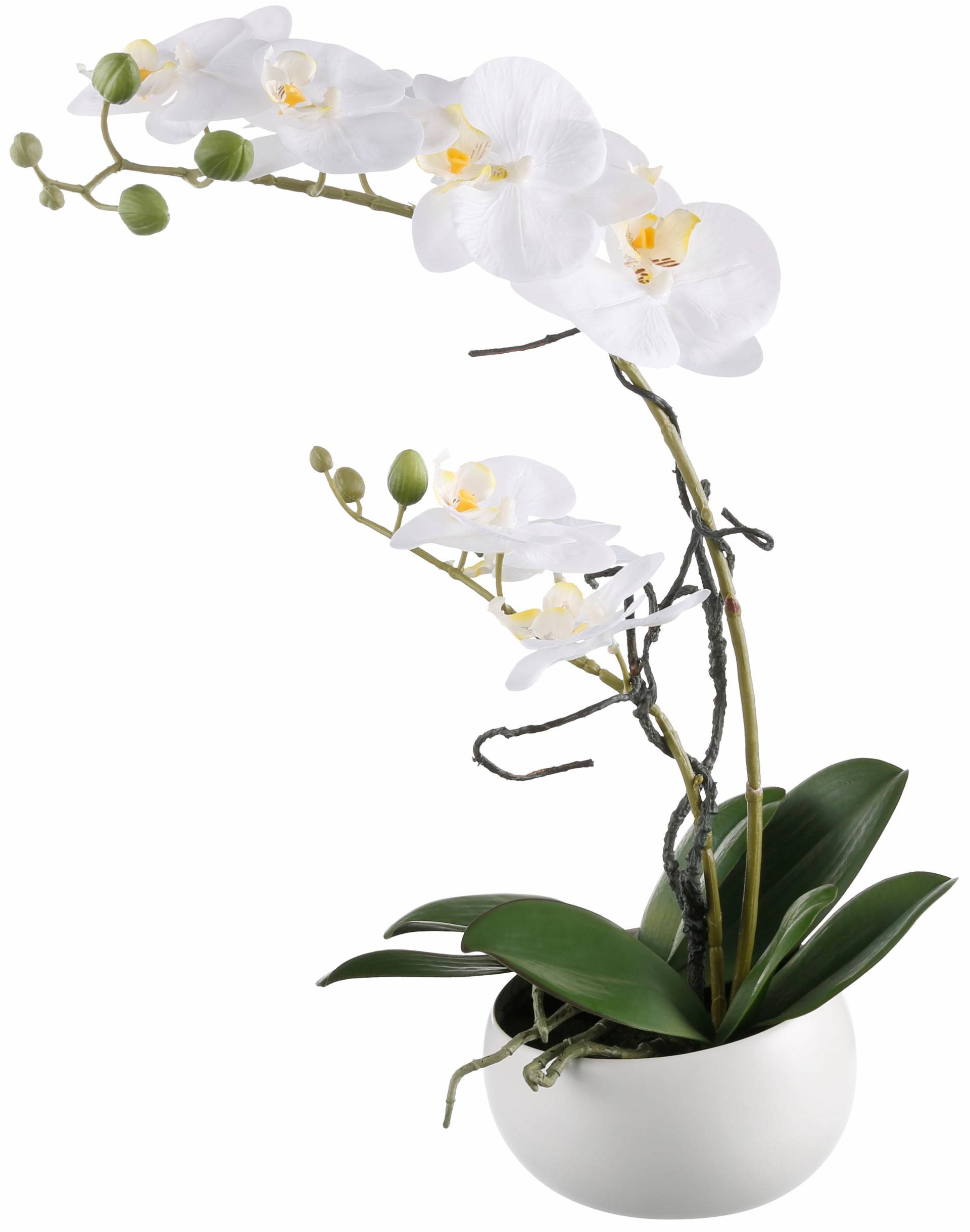 Creativ green Kunstpflanze »Orchidee« von Creativ green