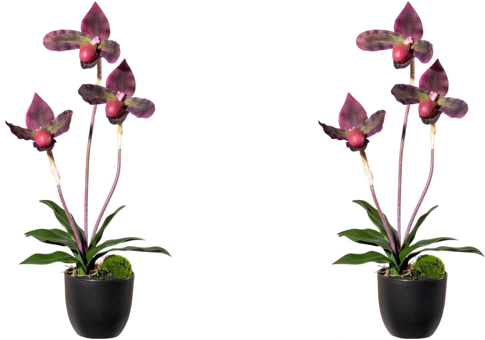 Creativ green Kunstorchidee »Orchidee Frauenschuh«, mit Real-Touch-Blüten von Creativ green