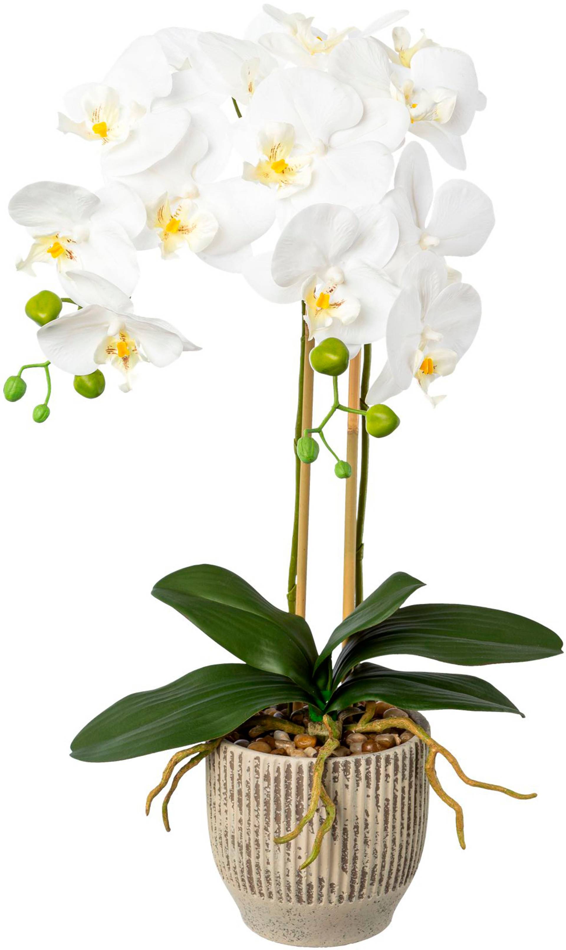 Creativ green Kunstorchidee »Orchidee Phalaenopsis im Keramiktopf« von Creativ green