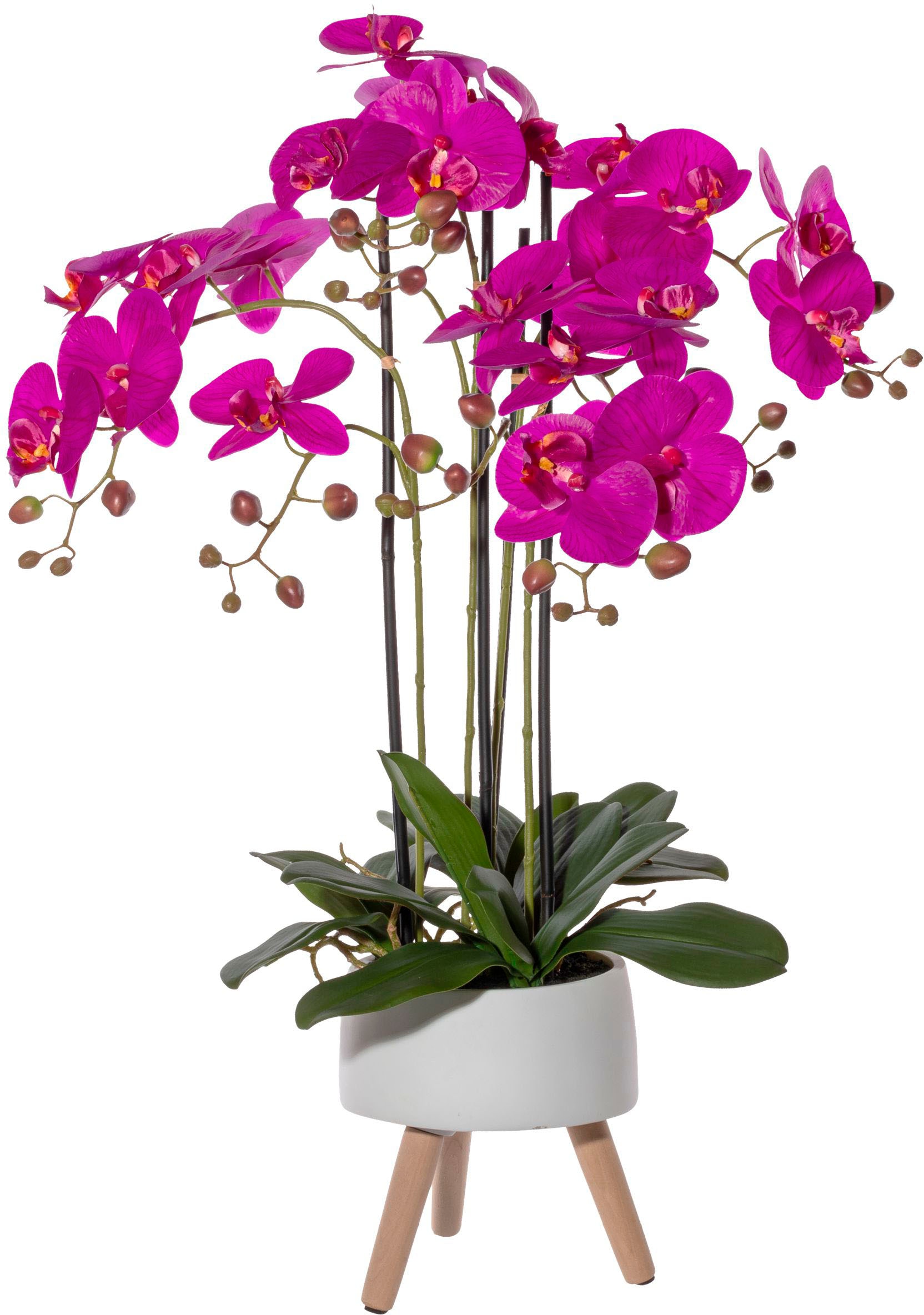 Creativ green Kunstorchidee »Orchidee Phalaenopsis in Keramikschale«, mit Real-Touch-Blüten und auf Füssen von Creativ green