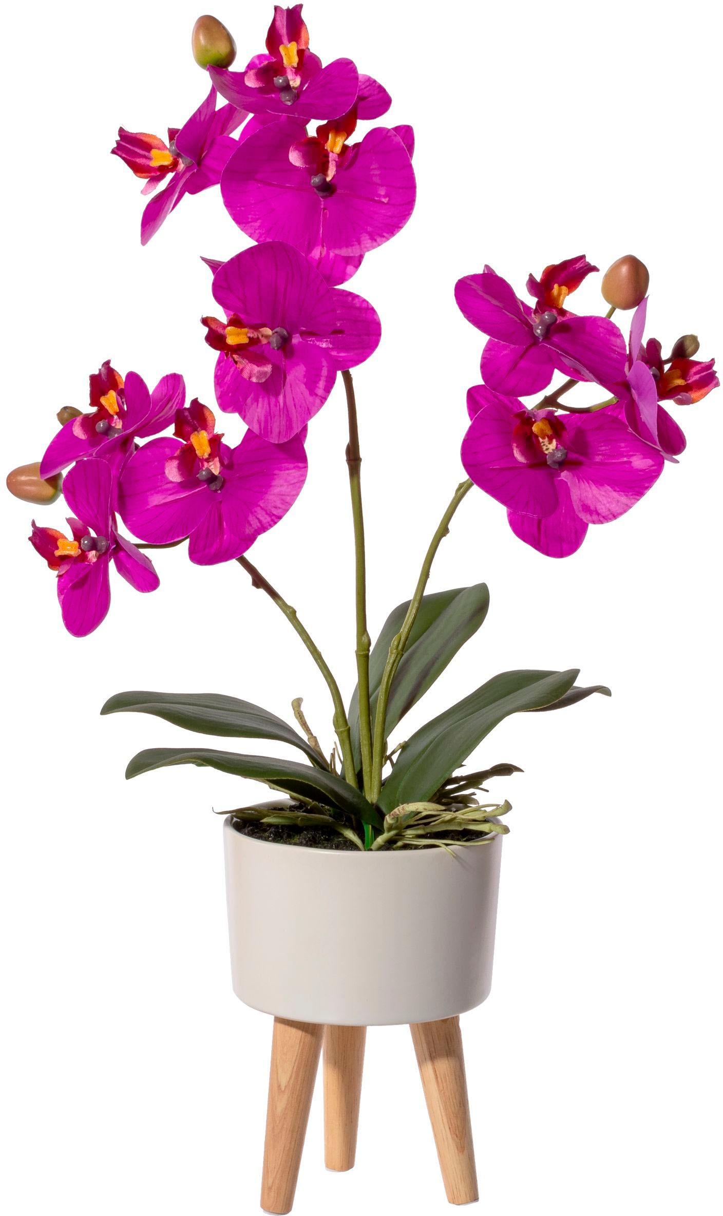 Creativ green Kunstorchidee »Orchidee Phalaenopsis in Keramikschale«, mit Real-Touch-Blüten und auf Füssen von Creativ green