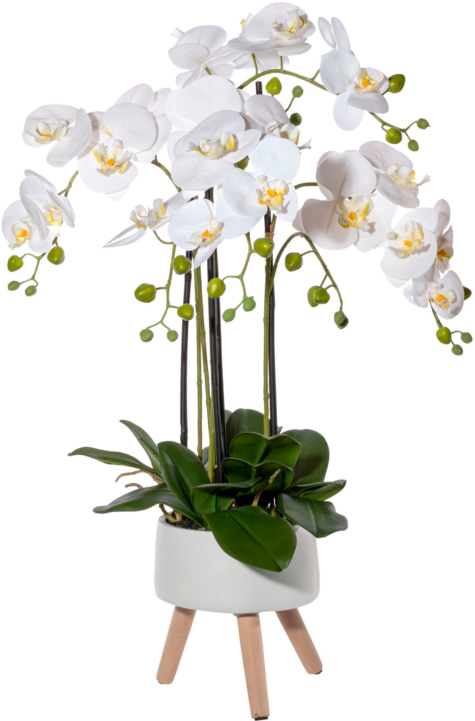 Creativ green Kunstorchidee »Orchidee Phalaenopsis in Keramikschale«, mit Real-Touch-Blüten und auf Füssen von Creativ green