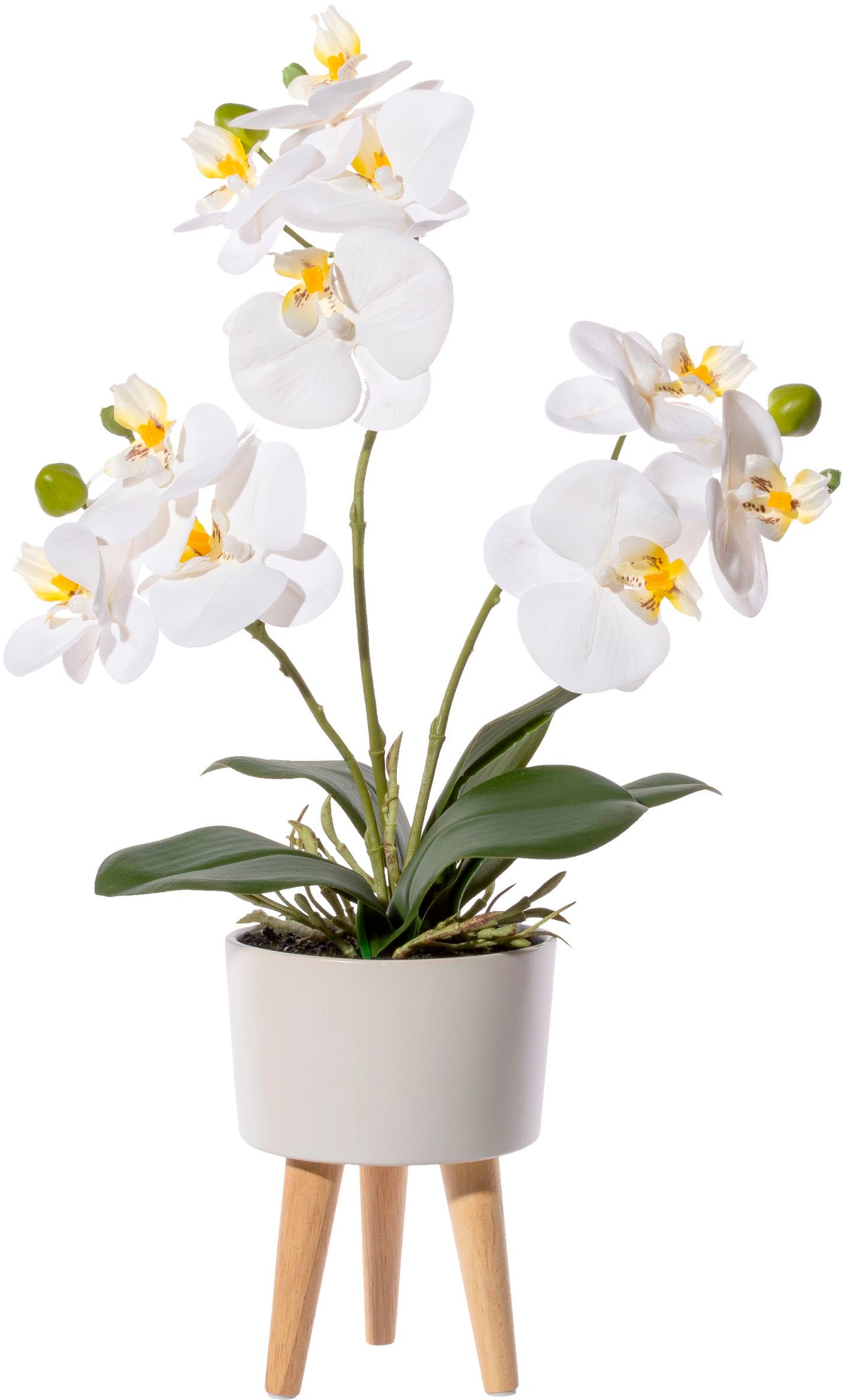 Creativ green Kunstorchidee »Orchidee Phalaenopsis in Keramikschale«, mit Real-Touch-Blüten und auf Füssen von Creativ green