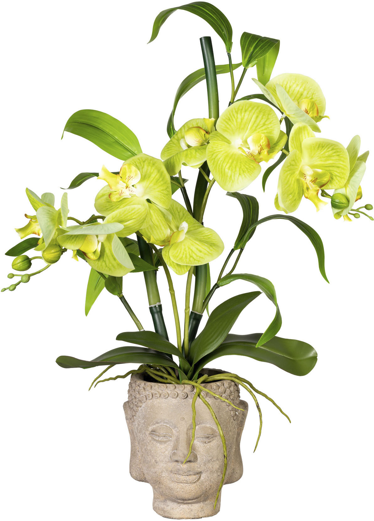 Creativ green Kunstorchidee »Orchideen-Bambus-Arrangement im Buddhakopf« Creativ green Kunstorchidee »Orchideen-Bambus-Arrangement im Buddhakopf« von Creativ green