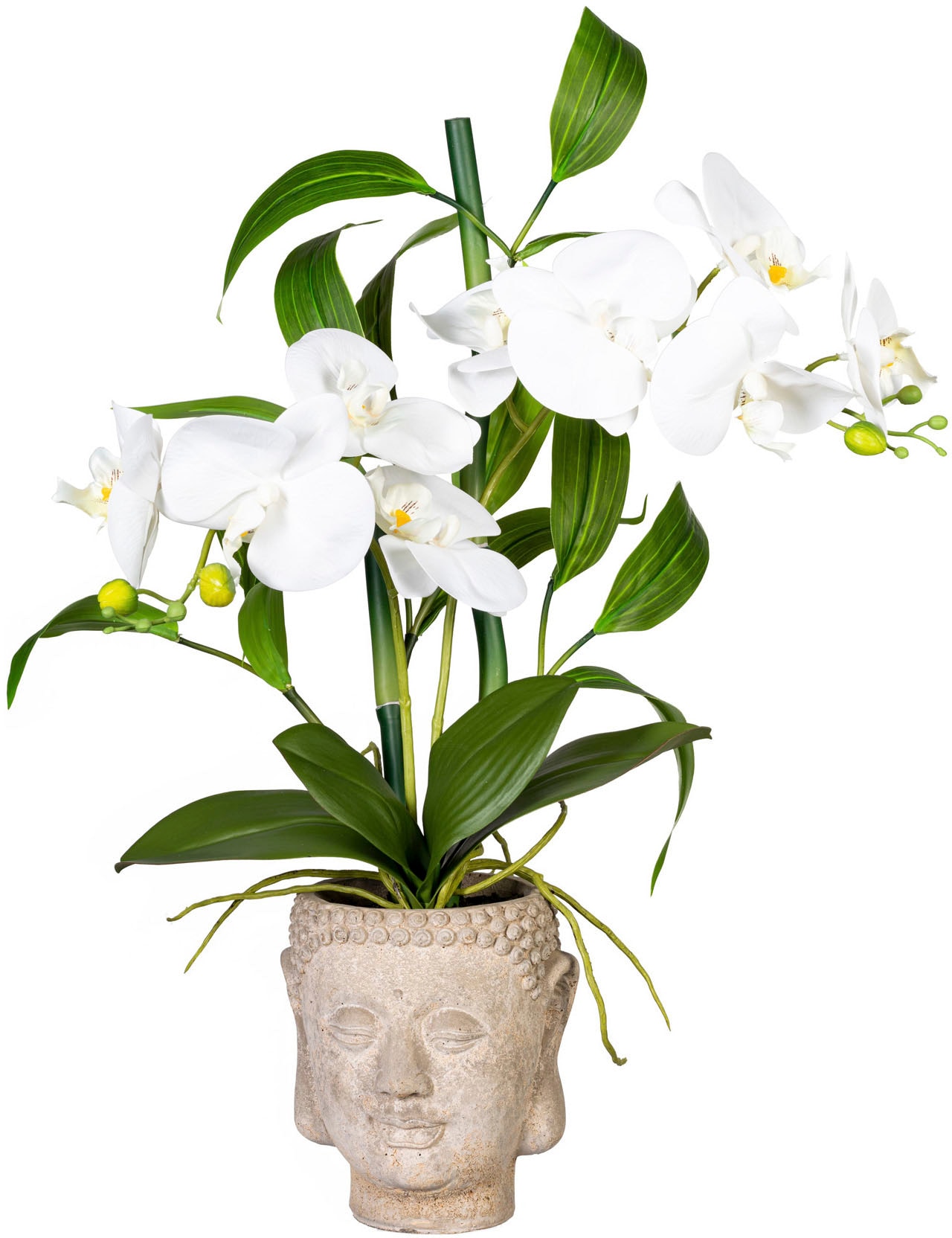 Creativ green Kunstorchidee »Orchideen-Bambus-Arrangement im Buddhakopf« von Creativ green