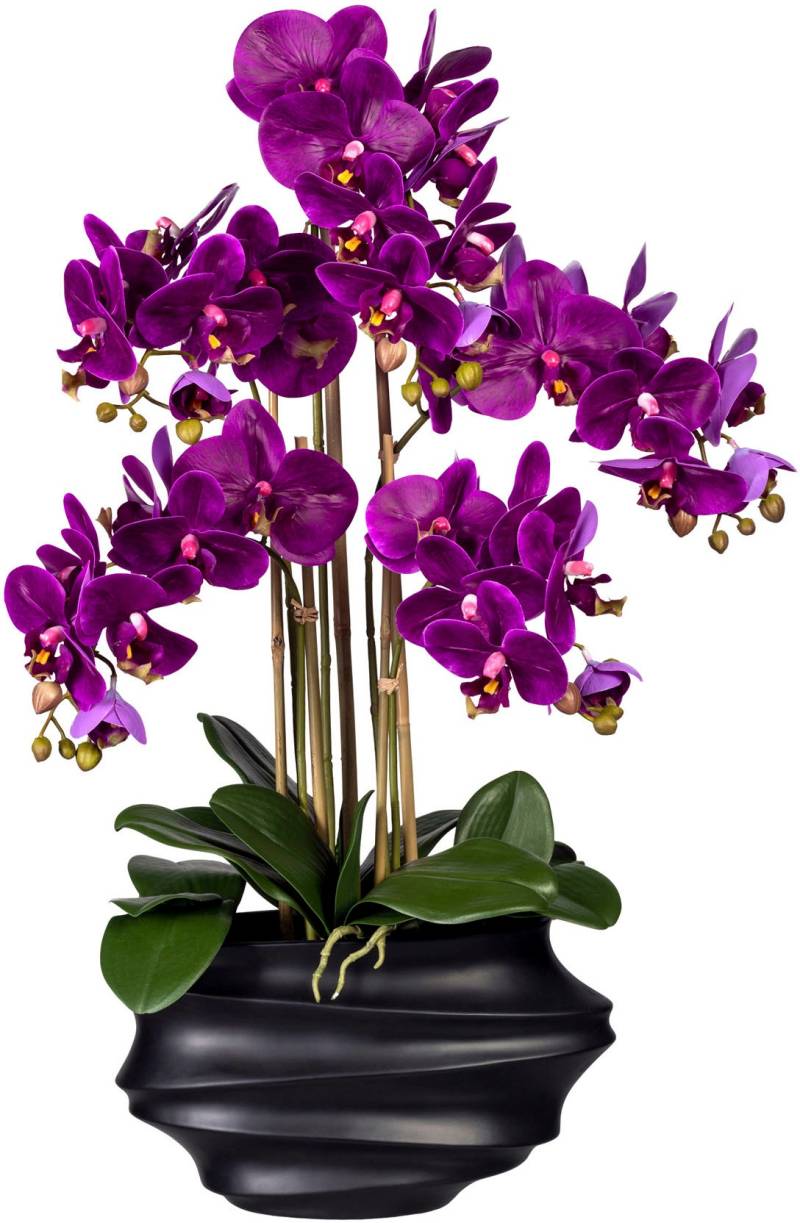 Creativ green Kunstorchidee »Phalaenopsis«, in Design-Kunststoffvase von Creativ green