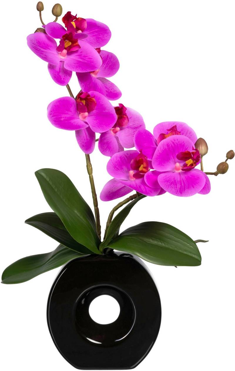 Creativ green Kunstorchidee »Phalaenopsis«, in Keramikvase von Creativ green