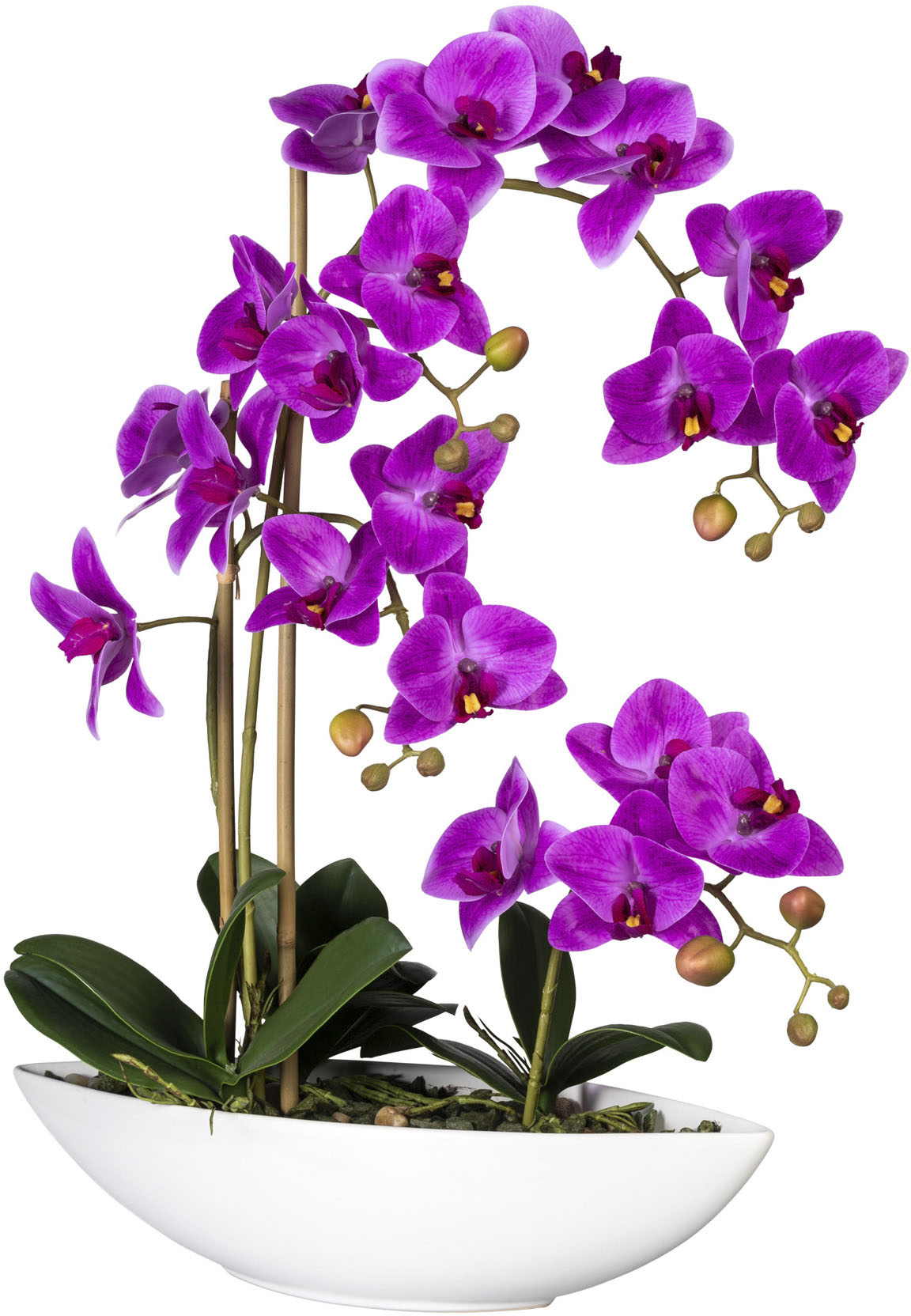 Creativ green Kunstorchidee »Phalaenopsis«, im Keramikschiff von Creativ green