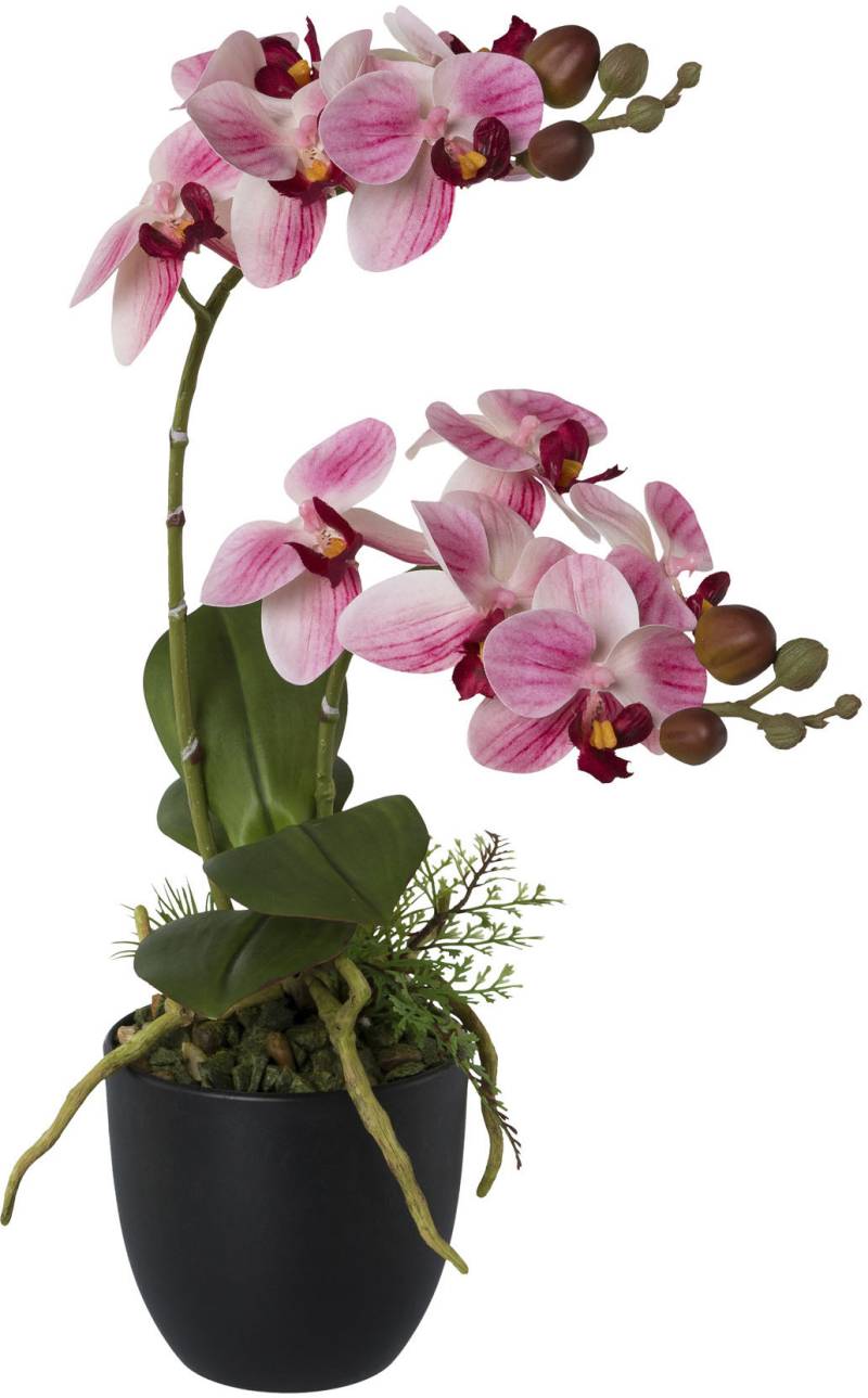 Creativ green Kunstorchidee »Phalaenopsis«, im Kunststofftopf von Creativ green