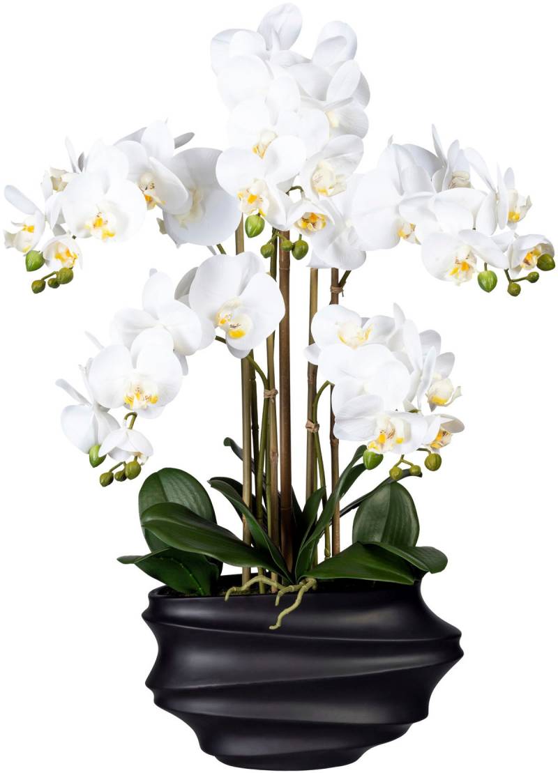 Creativ green Kunstorchidee »Phalaenopsis«, in Design-Kunststoffvase von Creativ green