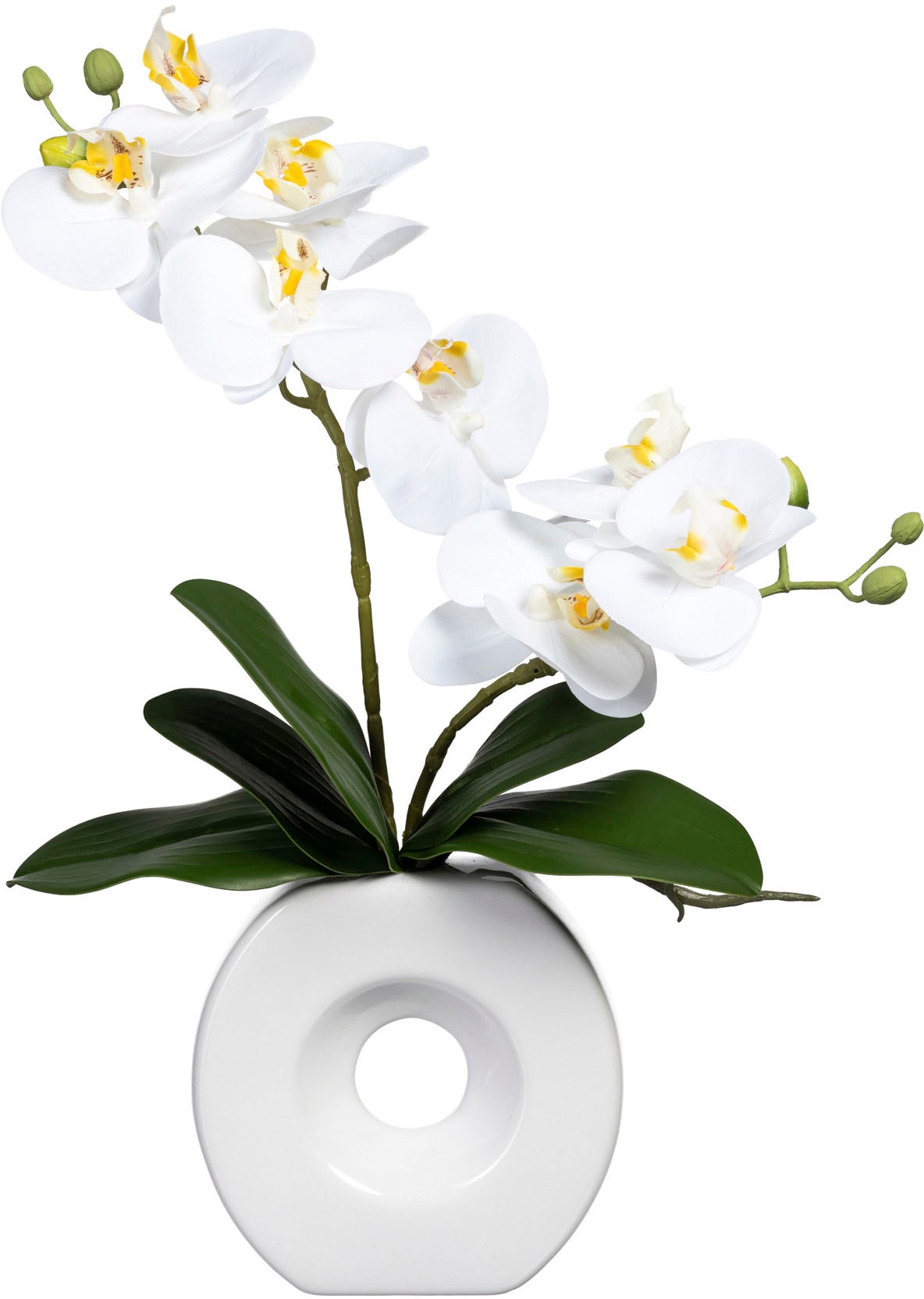 Creativ green Kunstorchidee »Phalaenopsis«, in Keramikvase von Creativ green