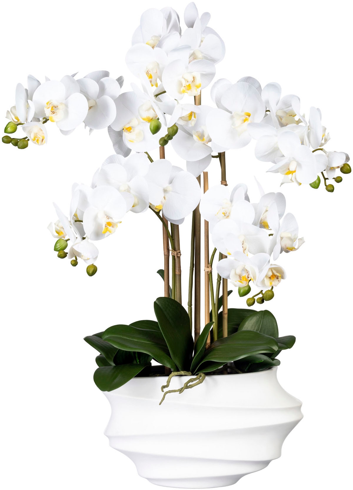 Creativ green Kunstorchidee »Phalaenopsis«, in Design-Kunststoffvase von Creativ green