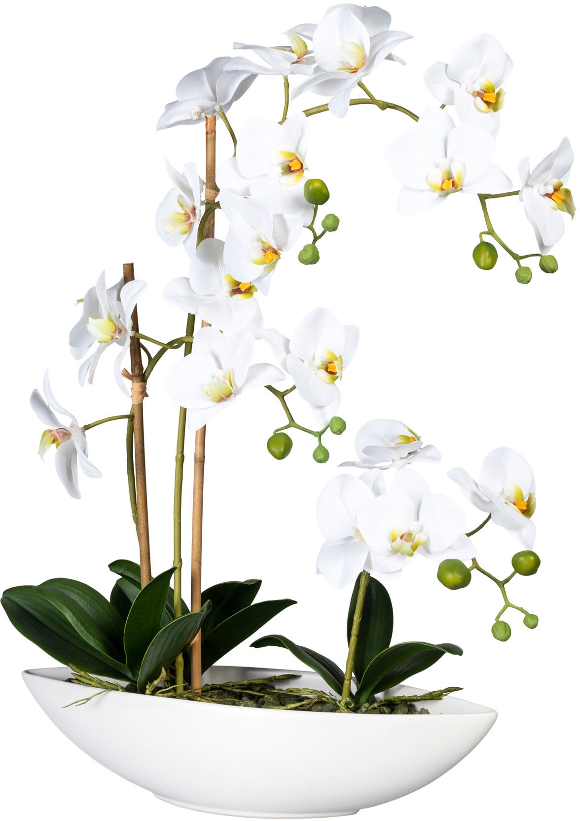 Creativ green Kunstorchidee »Phalaenopsis«, im Keramikschiff von Creativ green