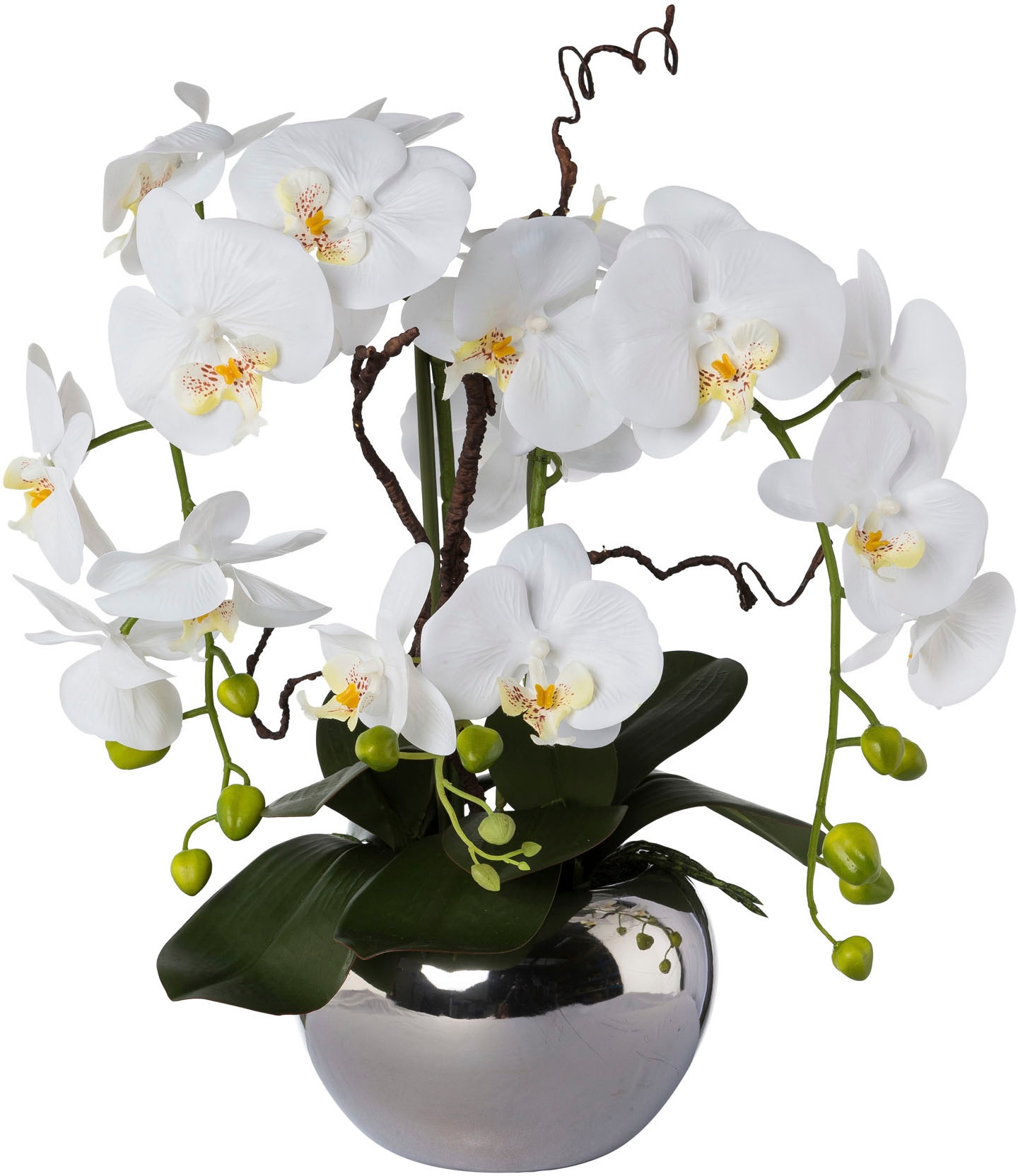 Creativ green Kunstorchidee »Phalaenopsis«, im Keramiktopf von Creativ green