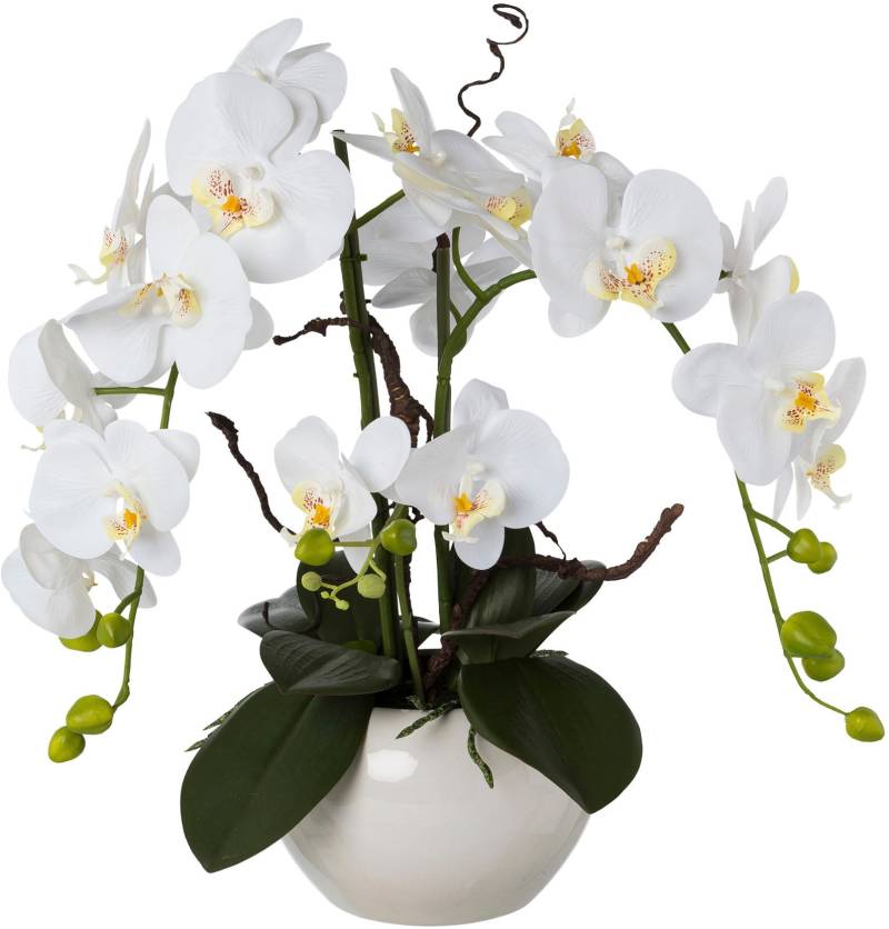 Creativ green Kunstorchidee »Phalaenopsis«, im Keramiktopf von Creativ green