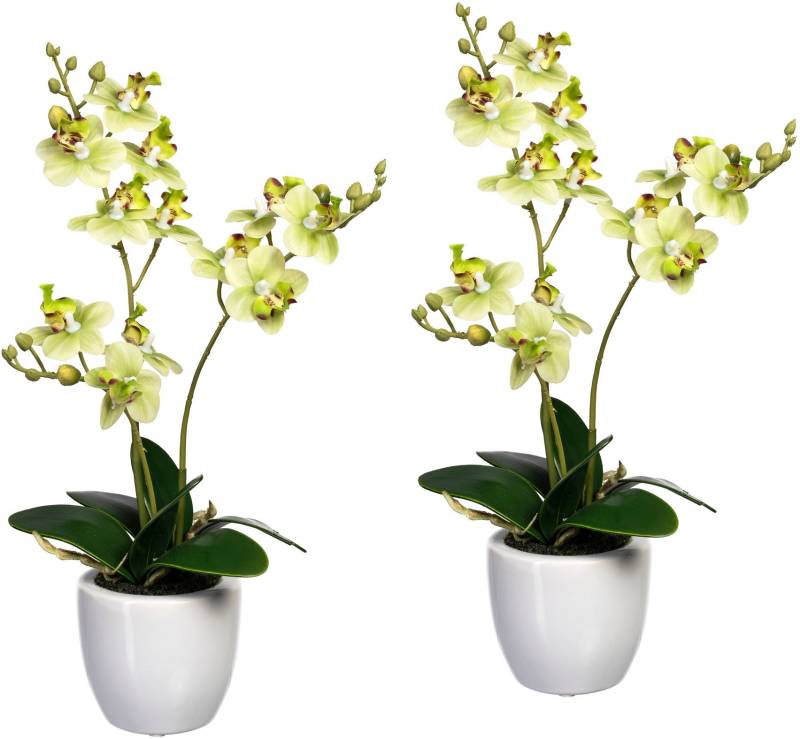 Creativ green Kunstorchidee »Phalaenopsis«, im Keramiktopf, 2er Set von Creativ green