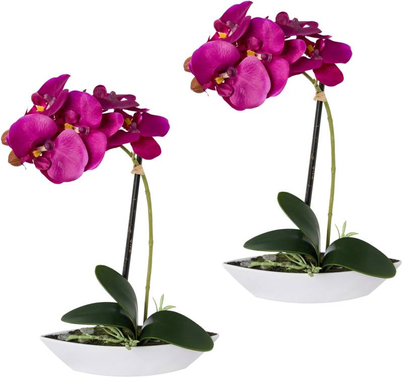 Creativ green Kunstorchidee »Phalaenopsis«, 2er Set, in Kunststoffschale von Creativ green