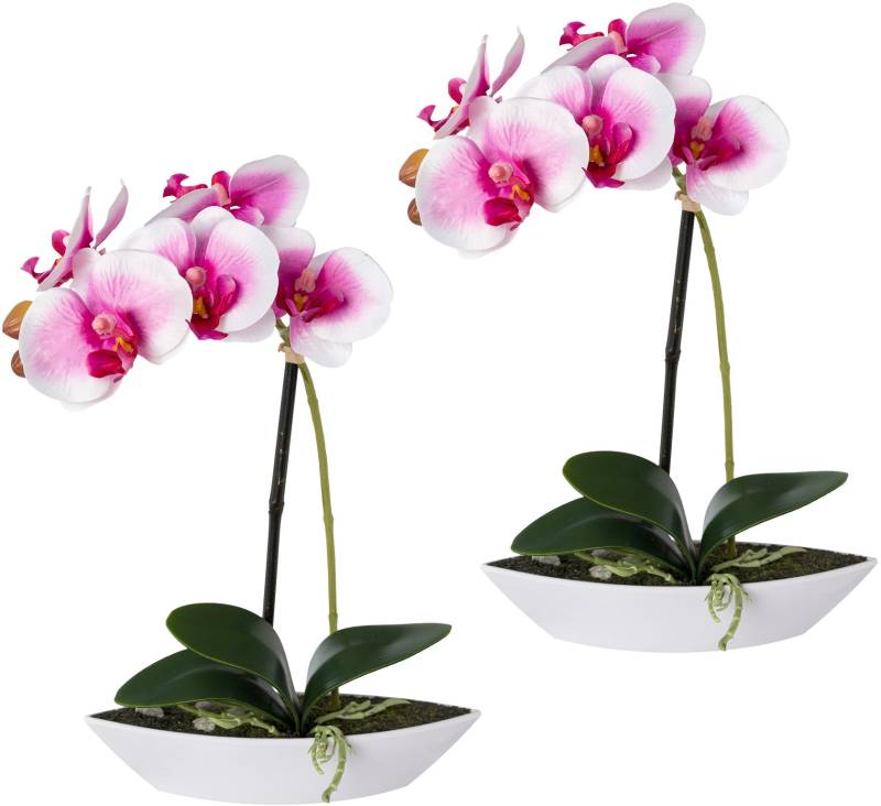 Creativ green Kunstorchidee »Phalaenopsis«, 2er Set, in Kunststoffschale von Creativ green