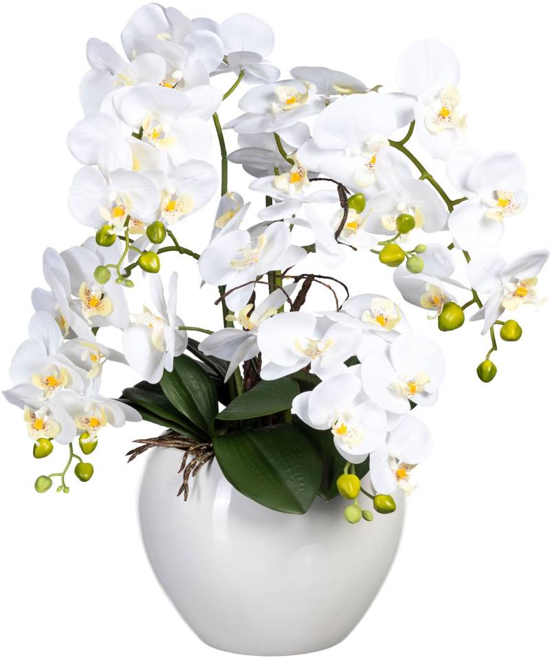 Creativ green Kunstorchidee »Phalaenopsis im Keramiktopf« von Creativ green