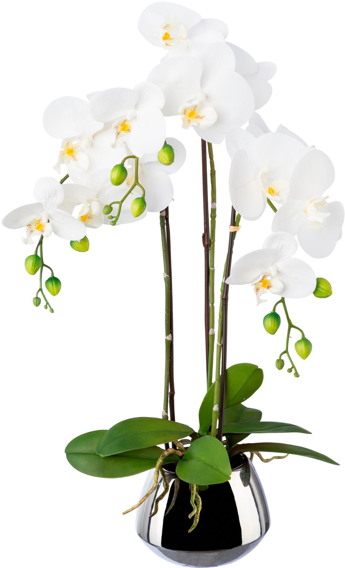 Creativ green Kunstorchidee »Phalaenopsis im Silbertopf«, mit Real-Touch-Blüten von Creativ green