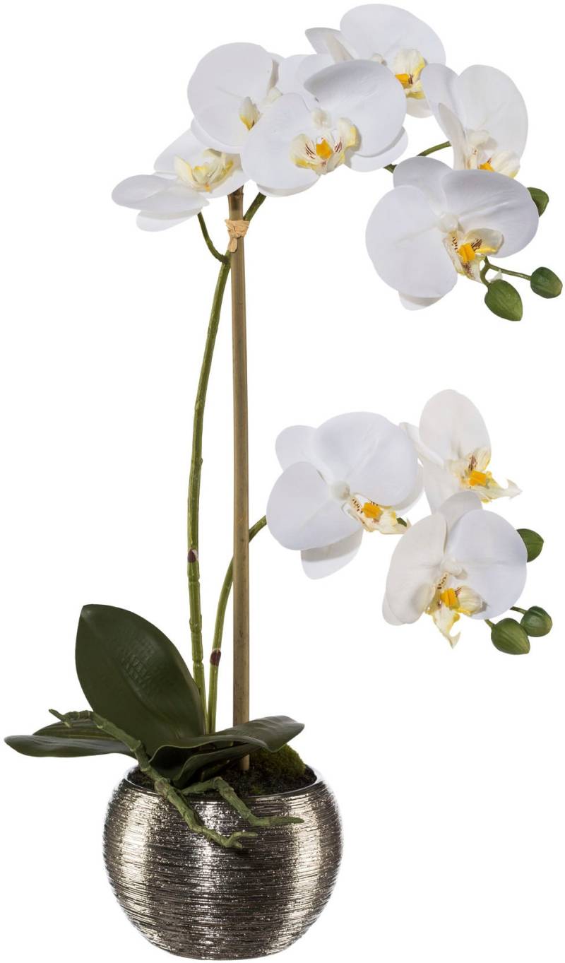 Creativ green Kunstorchidee »Phalaenopsis im Silbertopf«, mit Real-Touch-Blüten von Creativ green