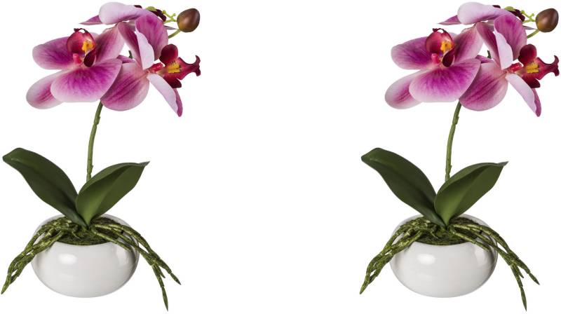 Creativ green Kunstorchidee »Phalaenopsis in Keramikschale«, mit Real-Touch-Blüten von Creativ green