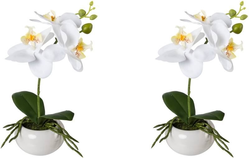 Creativ green Kunstorchidee »Phalaenopsis in Keramikschale«, mit Real-Touch-Blüten von Creativ green