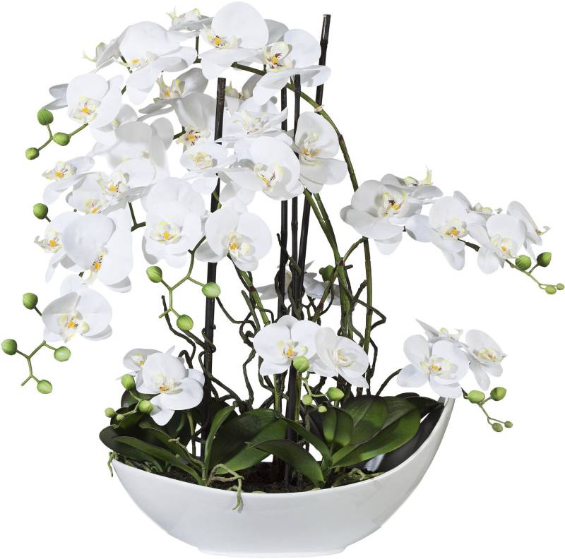 Creativ green Kunstorchidee »Phalaenopsisarrangement, 68cm weiss«, in Keramikschale von Creativ green