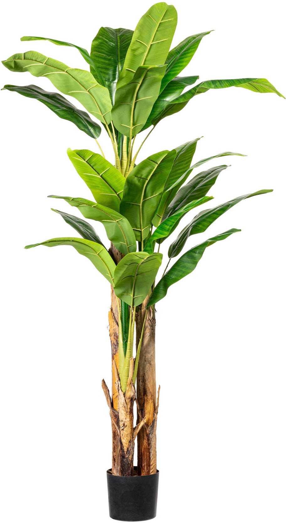 Creativ green Kunstpalme »Bananenpflanze« von Creativ green