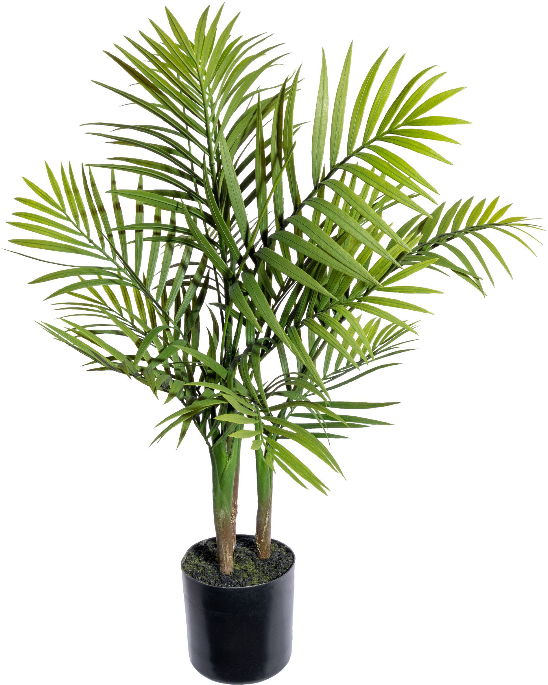 Creativ green Kunstpalme »Bergpalme« Creativ green Kunstpalme »Bergpalme« von Creativ green