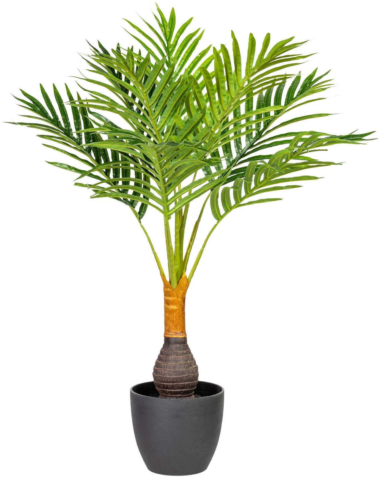 Creativ green Kunstpalme »Kentiapalme« Creativ green Kunstpalme »Kentiapalme« von Creativ green