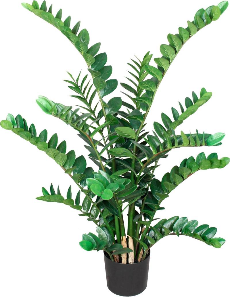 Creativ green Kunstpflanze »Zamifolia« von Creativ green