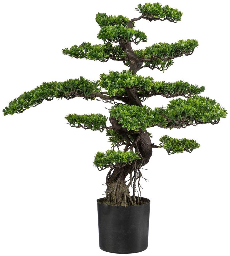 Creativ green Kunstbonsai »Bonsai« von Creativ green