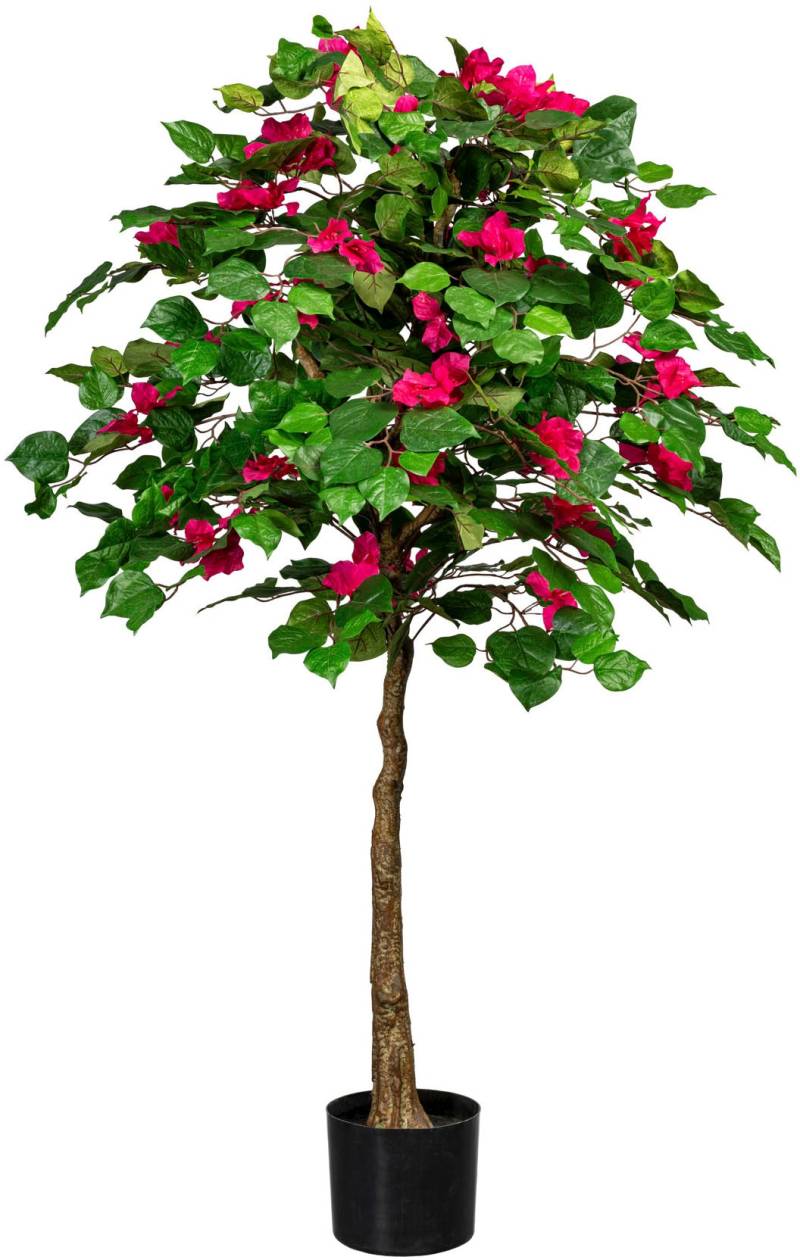 Creativ green Kunstpflanze »Bougainvillea« von Creativ green