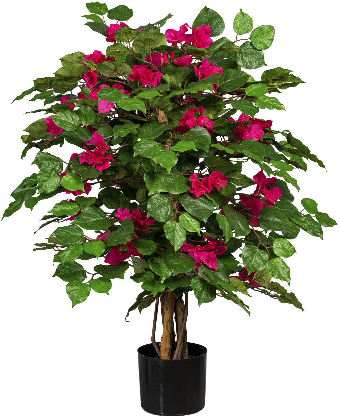 Creativ green Kunstpflanze »Bougainvillea« von Creativ green