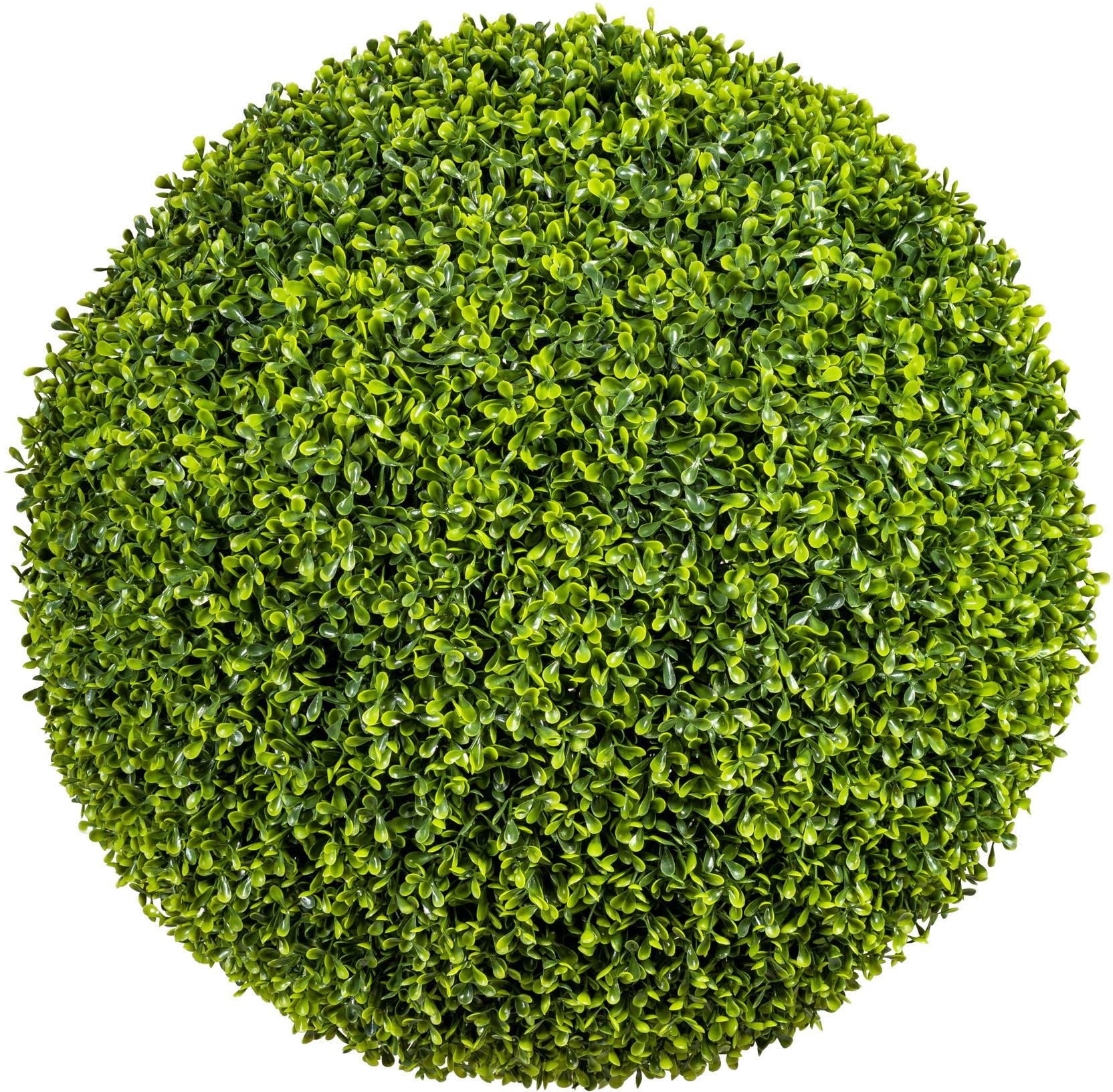 Creativ green Kunstpflanze »Buchsbaumkugel« Creativ green Kunstpflanze »Buchsbaumkugel« von Creativ green