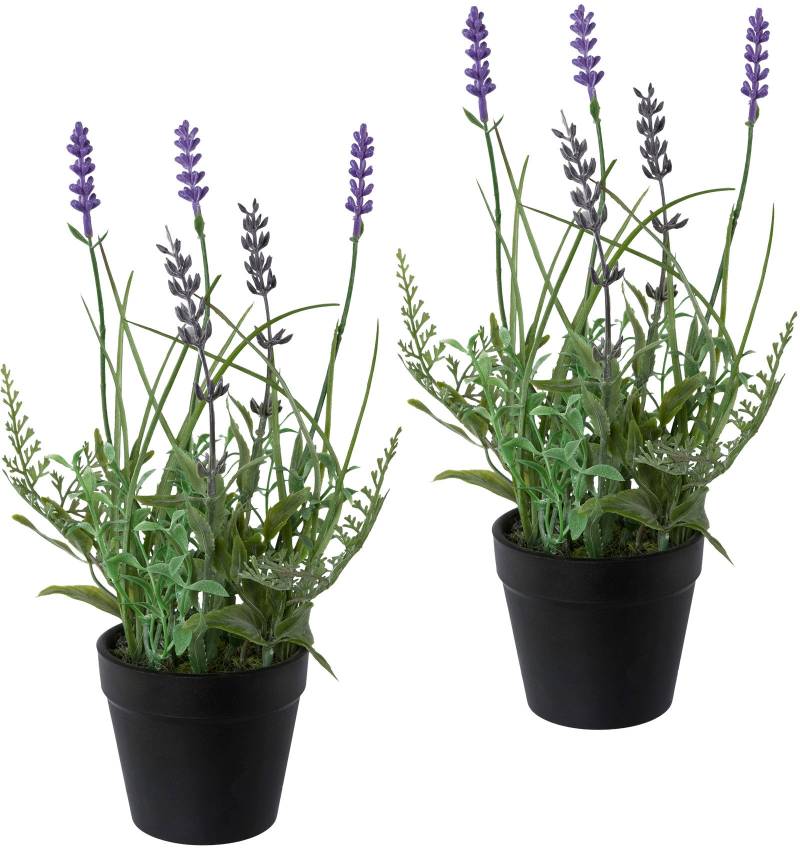 Creativ green Kunstpflanze »Lavendel«, 3er Set, im Kunststofftopf von Creativ green