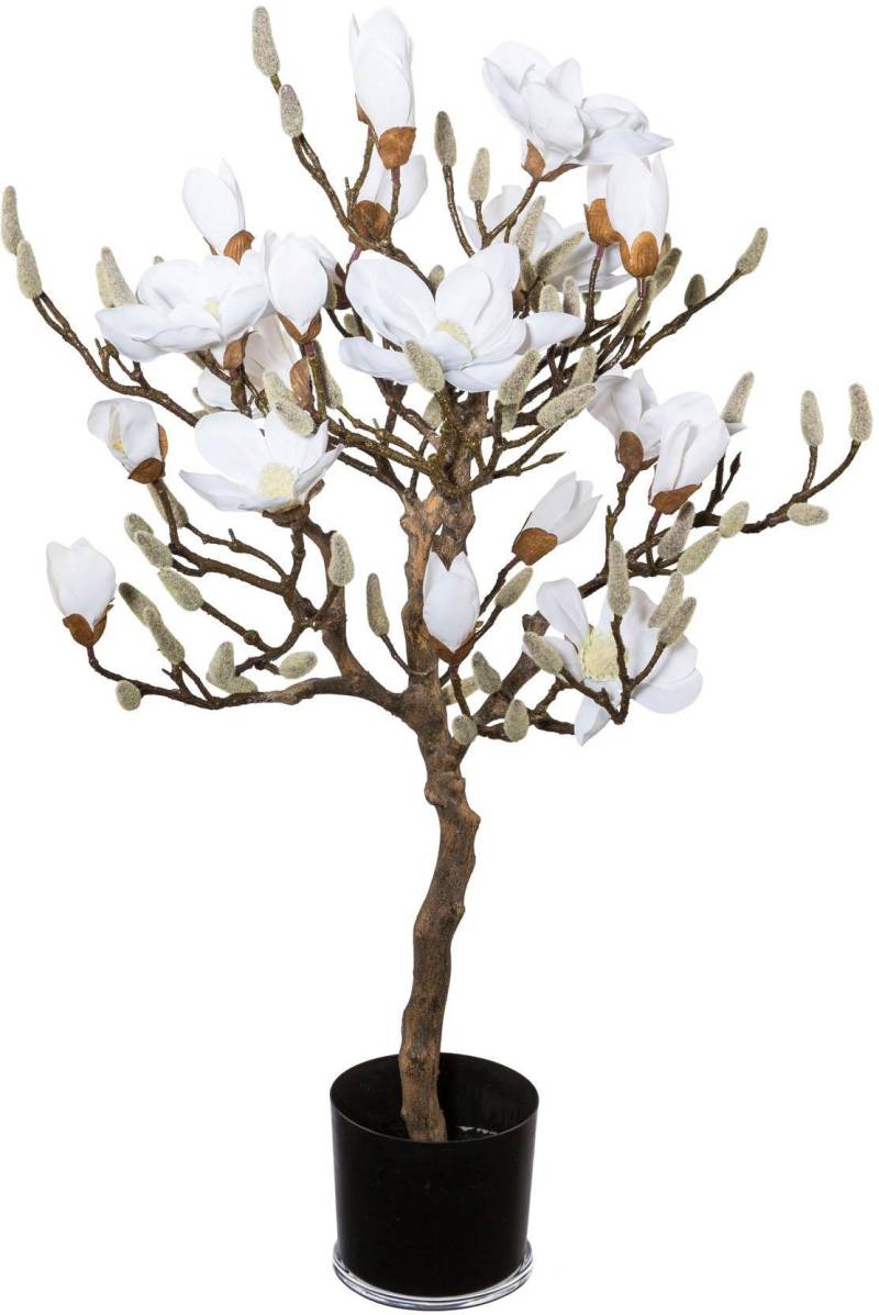 Creativ green Kunstpflanze »Magnolienbaum« von Creativ green